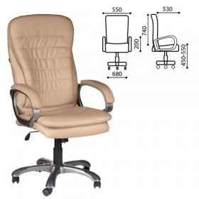 Кресло офисное BRABIX Omega EX-589 в Таврическом - tavricheskoe.katalogmebeli.com | фото