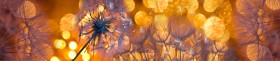 Кухонный фартук Мерцание Одуванчики золотистые 3 серебро в Таврическом - tavricheskoe.katalogmebeli.com | фото
